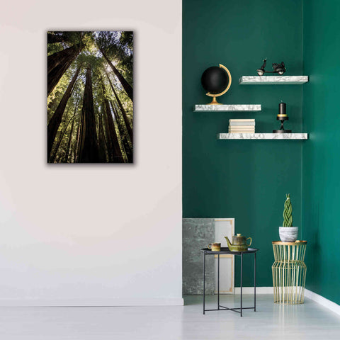 Image of 'The Stand' by Debra Van Swearingen, Canvas Wall Art,26 x 40