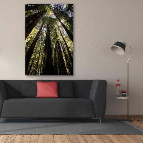 Image of 'The Stand' by Debra Van Swearingen, Canvas Wall Art,40 x 60