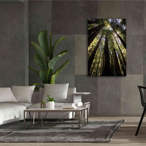 Image of 'The Stand' by Debra Van Swearingen, Canvas Wall Art,40 x 60