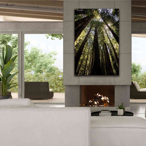 Image of 'The Stand' by Debra Van Swearingen, Canvas Wall Art,40 x 60