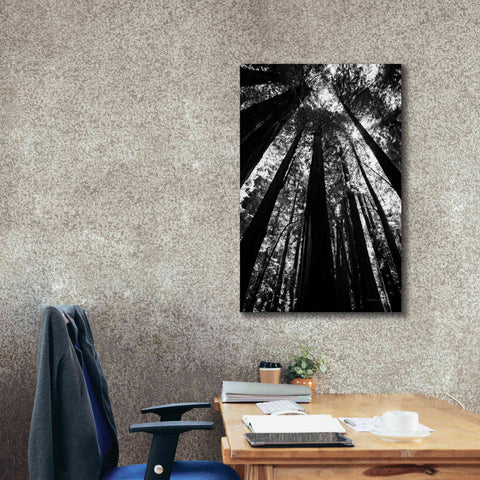 Image of 'The Stand BW' by Debra Van Swearingen, Canvas Wall Art,26 x 40