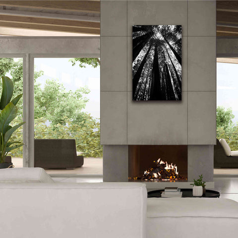 Image of 'The Stand BW' by Debra Van Swearingen, Canvas Wall Art,26 x 40