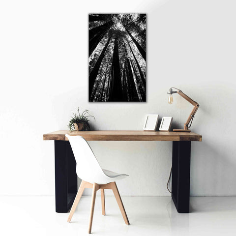 Image of 'The Stand BW' by Debra Van Swearingen, Canvas Wall Art,26 x 40