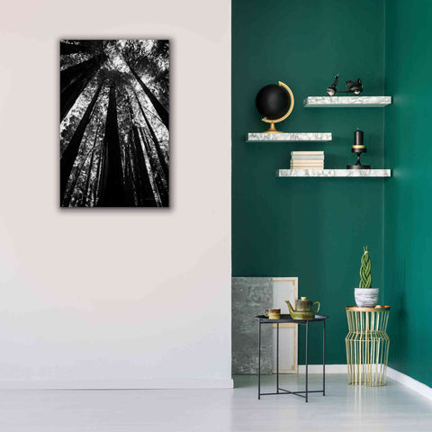 Image of 'The Stand BW' by Debra Van Swearingen, Canvas Wall Art,26 x 40