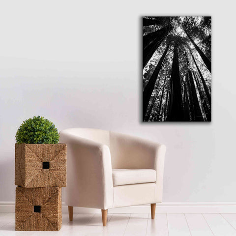 Image of 'The Stand BW' by Debra Van Swearingen, Canvas Wall Art,26 x 40