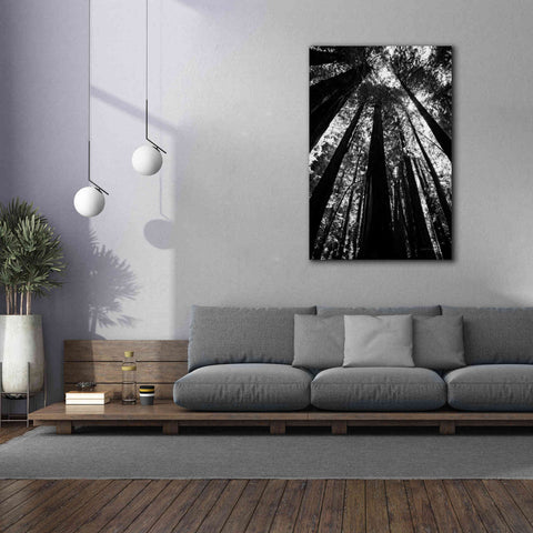 Image of 'The Stand BW' by Debra Van Swearingen, Canvas Wall Art,40 x 60