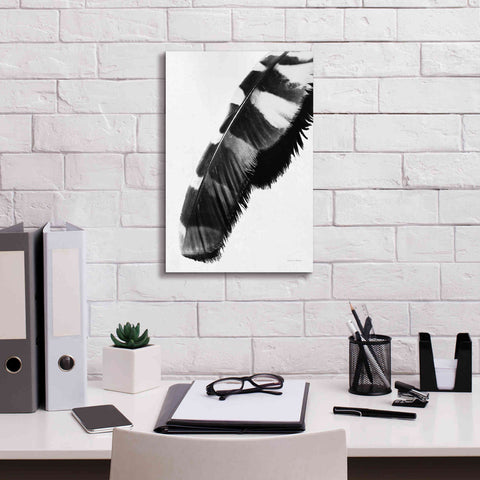 Image of 'Feather Shadow II White' by Debra Van Swearingen, Canvas Wall Art,12 x 18