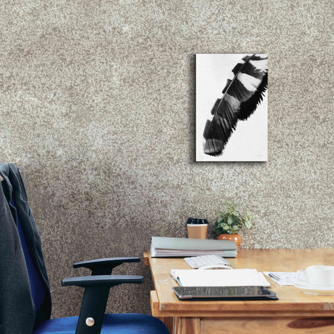 Image of 'Feather Shadow II White' by Debra Van Swearingen, Canvas Wall Art,12 x 18
