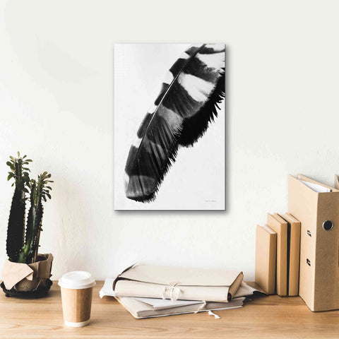 Image of 'Feather Shadow II White' by Debra Van Swearingen, Canvas Wall Art,12 x 18