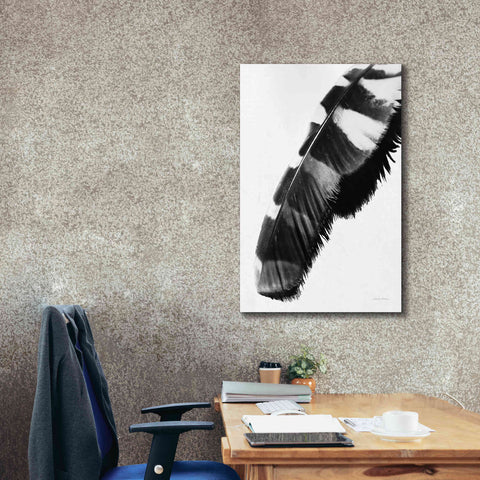 Image of 'Feather Shadow II White' by Debra Van Swearingen, Canvas Wall Art,26 x 40