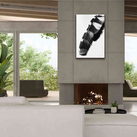 Image of 'Feather Shadow II White' by Debra Van Swearingen, Canvas Wall Art,26 x 40