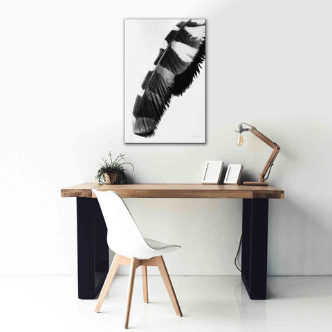 Image of 'Feather Shadow II White' by Debra Van Swearingen, Canvas Wall Art,26 x 40