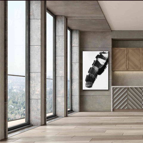 Image of 'Feather Shadow II White' by Debra Van Swearingen, Canvas Wall Art,40 x 60