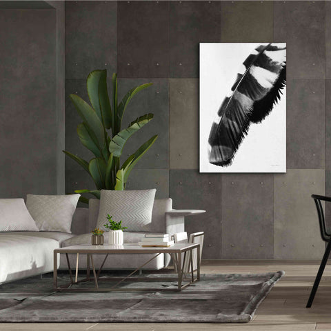 Image of 'Feather Shadow II White' by Debra Van Swearingen, Canvas Wall Art,40 x 60