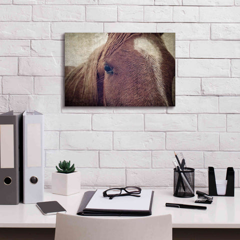 Image of 'Dew Lashes' by Debra Van Swearingen, Canvas Wall Art,18 x 12