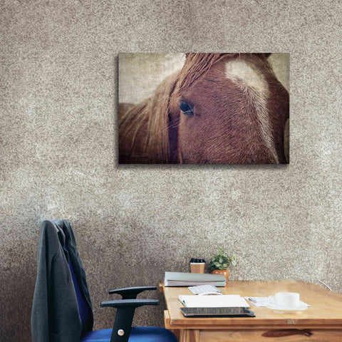 Image of 'Dew Lashes' by Debra Van Swearingen, Canvas Wall Art,40 x 26