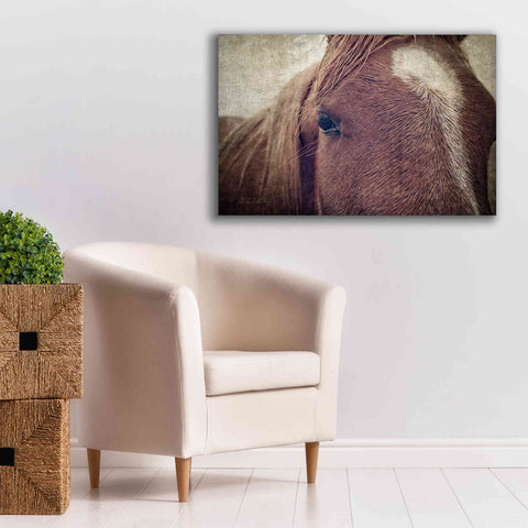 Image of 'Dew Lashes' by Debra Van Swearingen, Canvas Wall Art,40 x 26