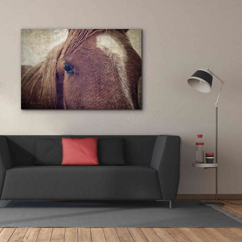 Image of 'Dew Lashes' by Debra Van Swearingen, Canvas Wall Art,60 x 40