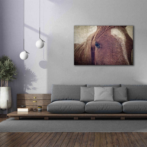Image of 'Dew Lashes' by Debra Van Swearingen, Canvas Wall Art,60 x 40