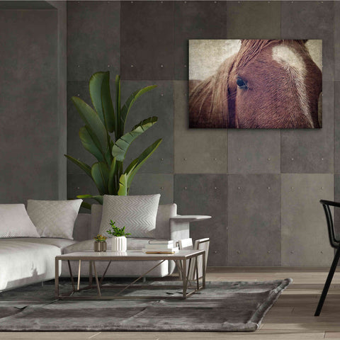 Image of 'Dew Lashes' by Debra Van Swearingen, Canvas Wall Art,60 x 40