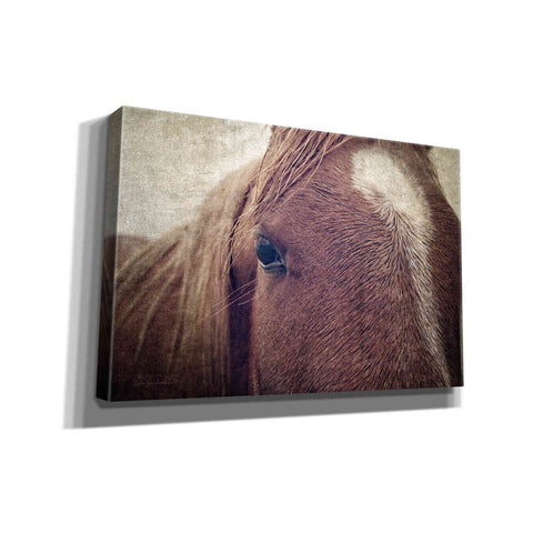 Image of 'Dew Lashes' by Debra Van Swearingen, Canvas Wall Art,18x12x1.1x0,26x18x1.1x0,40x26x1.74x0,60x40x1.74x0