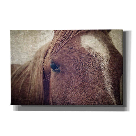 Image of 'Dew Lashes' by Debra Van Swearingen, Canvas Wall Art,18x12x1.1x0,26x18x1.1x0,40x26x1.74x0,60x40x1.74x0