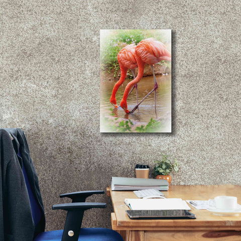 Image of 'Two Flamingos' by Debra Van Swearingen, Canvas Wall Art,18 x 26