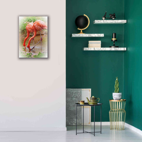Image of 'Two Flamingos' by Debra Van Swearingen, Canvas Wall Art,18 x 26