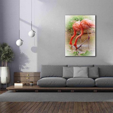 Image of 'Two Flamingos' by Debra Van Swearingen, Canvas Wall Art,40 x 54
