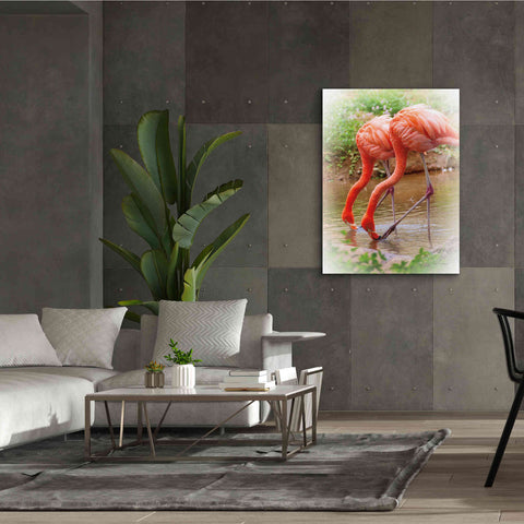 Image of 'Two Flamingos' by Debra Van Swearingen, Canvas Wall Art,40 x 54
