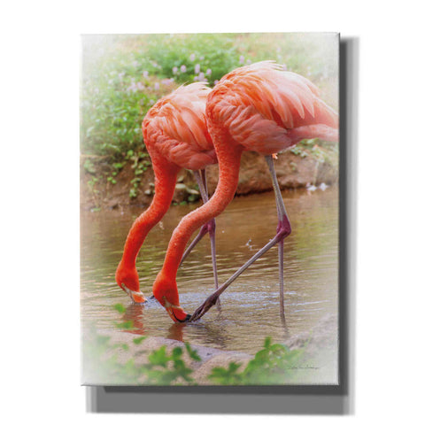 Image of 'Two Flamingos' by Debra Van Swearingen, Canvas Wall Art,12x16x1.1x0,18x26x1.1x0,26x34x1.74x0,40x54x1.74x0