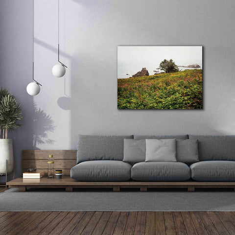 Image of 'Oregon Coast' by Debra Van Swearingen, Canvas Wall Art,54 x 40
