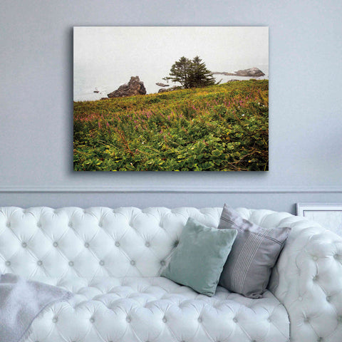 Image of 'Oregon Coast' by Debra Van Swearingen, Canvas Wall Art,54 x 40