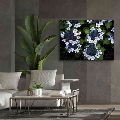 Image of 'Hydrangeas Opening' by Debra Van Swearingen, Canvas Wall Art,54 x 40