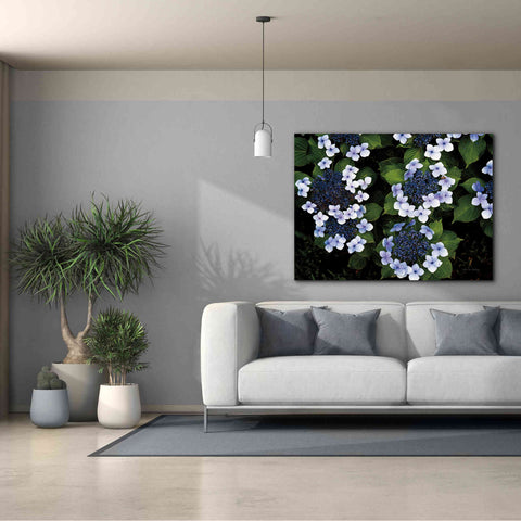 Image of 'Hydrangeas Opening' by Debra Van Swearingen, Canvas Wall Art,54 x 40