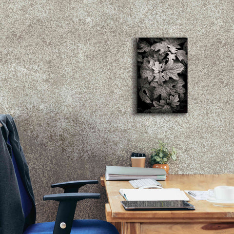Image of 'Hydrangea Leaves in Black and White' by Debra Van Swearingen, Canvas Wall Art,12 x 18