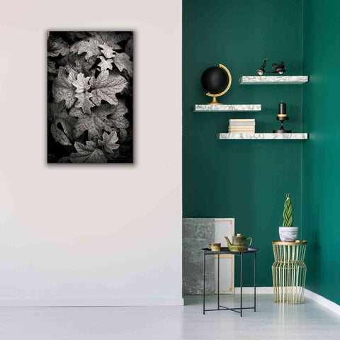 Image of 'Hydrangea Leaves in Black and White' by Debra Van Swearingen, Canvas Wall Art,26 x 40