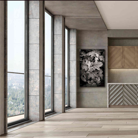 Image of 'Hydrangea Leaves in Black and White' by Debra Van Swearingen, Canvas Wall Art,40 x 60