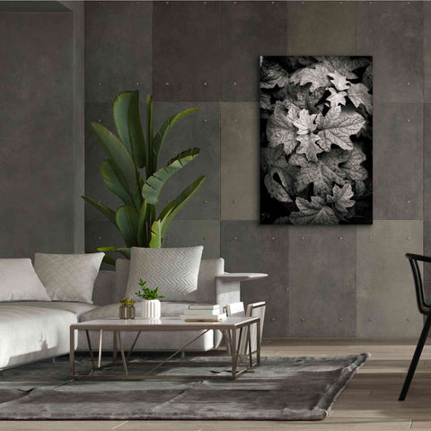 Image of 'Hydrangea Leaves in Black and White' by Debra Van Swearingen, Canvas Wall Art,40 x 60