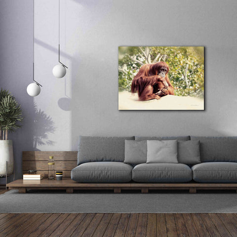 Image of 'Orangutan' by Debra Van Swearingen, Canvas Wall Art,54 x 40