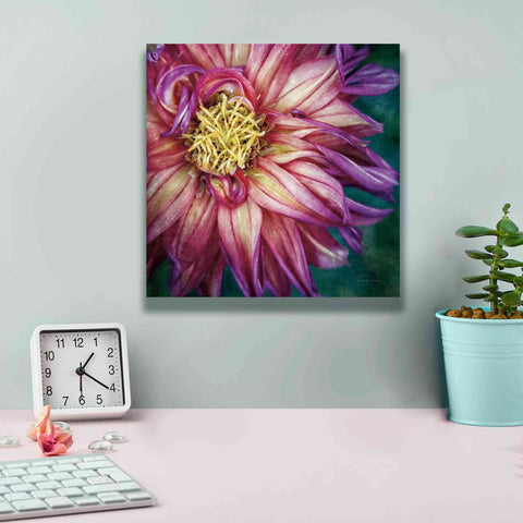 Image of 'Dahlia I' by Debra Van Swearingen, Canvas Wall Art,12 x 12