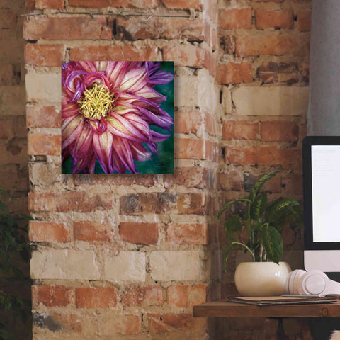 Image of 'Dahlia I' by Debra Van Swearingen, Canvas Wall Art,12 x 12