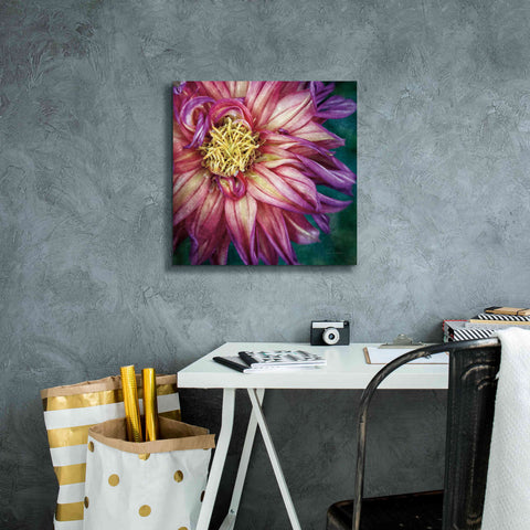 Image of 'Dahlia I' by Debra Van Swearingen, Canvas Wall Art,18 x 18