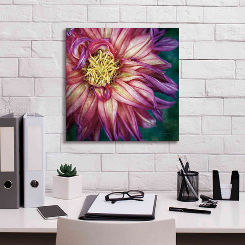 Image of 'Dahlia I' by Debra Van Swearingen, Canvas Wall Art,18 x 18