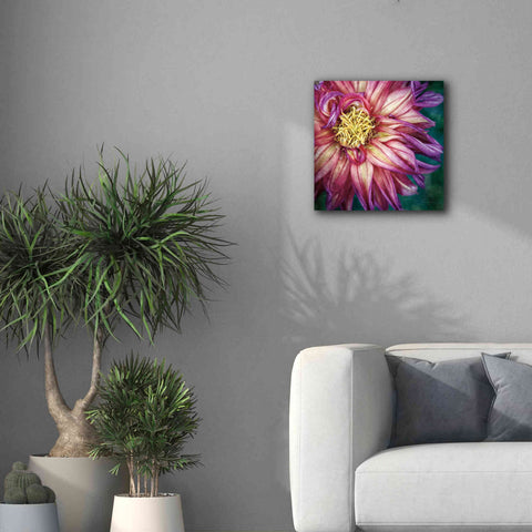 Image of 'Dahlia I' by Debra Van Swearingen, Canvas Wall Art,18 x 18