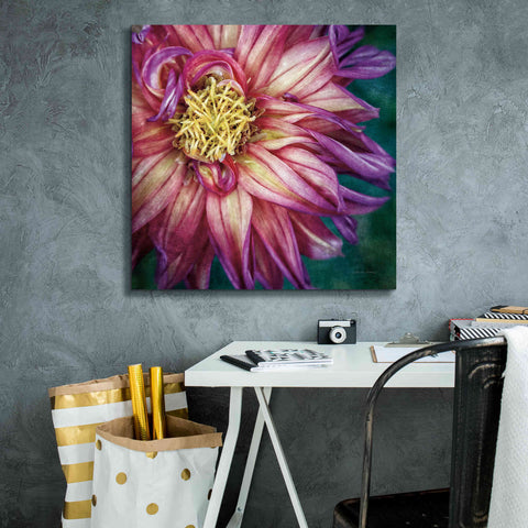 Image of 'Dahlia I' by Debra Van Swearingen, Canvas Wall Art,26 x 26