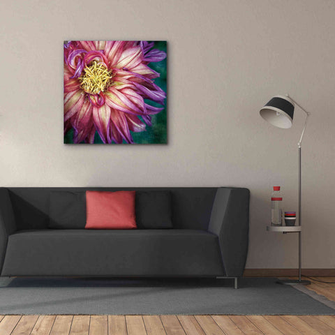 Image of 'Dahlia I' by Debra Van Swearingen, Canvas Wall Art,37 x 37