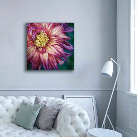 Image of 'Dahlia I' by Debra Van Swearingen, Canvas Wall Art,37 x 37