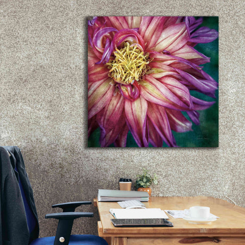 Image of 'Dahlia I' by Debra Van Swearingen, Canvas Wall Art,37 x 37