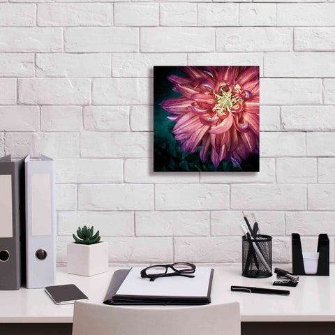 Image of 'Dahlia II' by Debra Van Swearingen, Canvas Wall Art,12 x 12